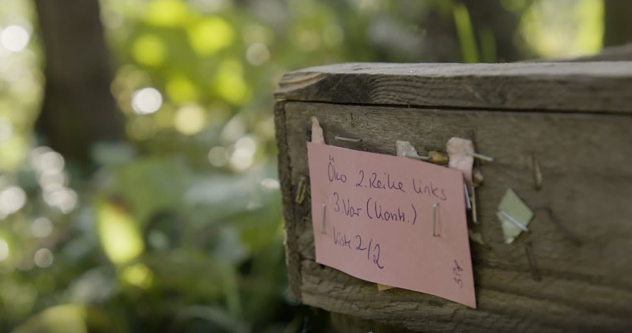 Biologische Wirksamkeit von Tunnelsprühgeräten im Obstbau