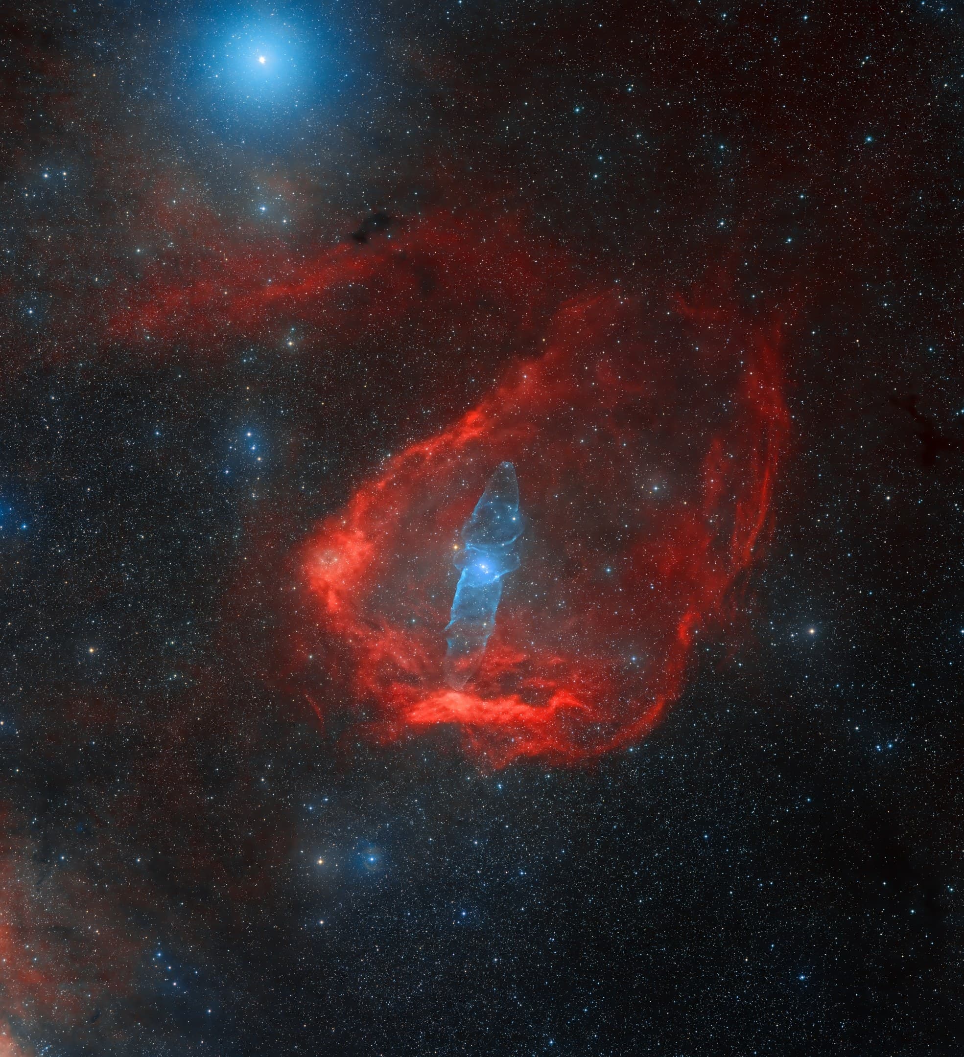 Squid-Nebel
