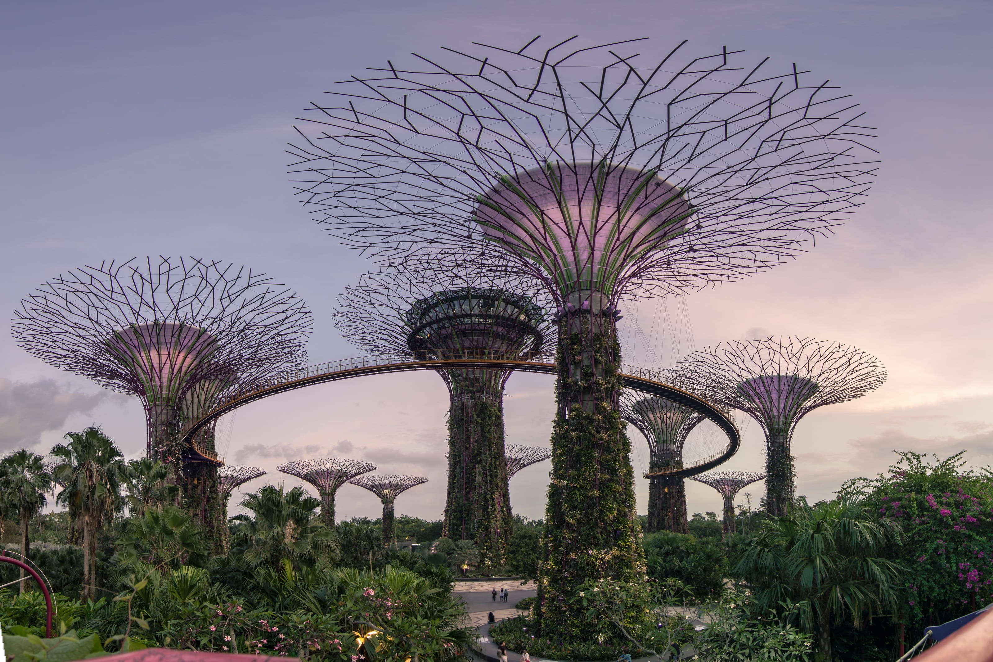 Supertrees der Gardens by the Bay, Singapur